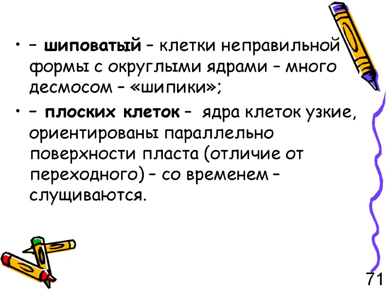 – шиповатый – клетки неправильной формы с округлыми ядрами – много десмосом – «шипики»;